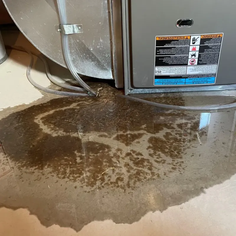 Pipe Burst and Leak Restoration in Derry, NH